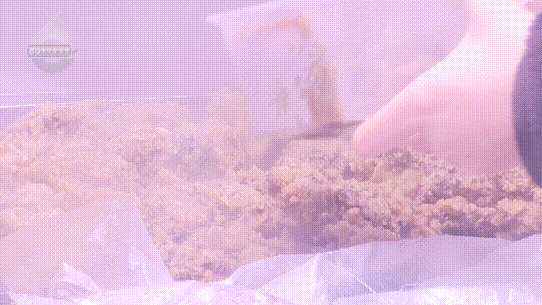 融融！这些御寒姿势总有一款适合你PG麻将胡了免费模拟器热腾腾、暖(图5)
